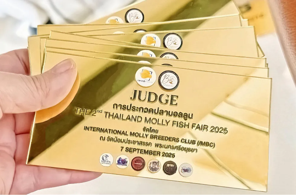 งานผลิตอะคริลิคตามสั่ง