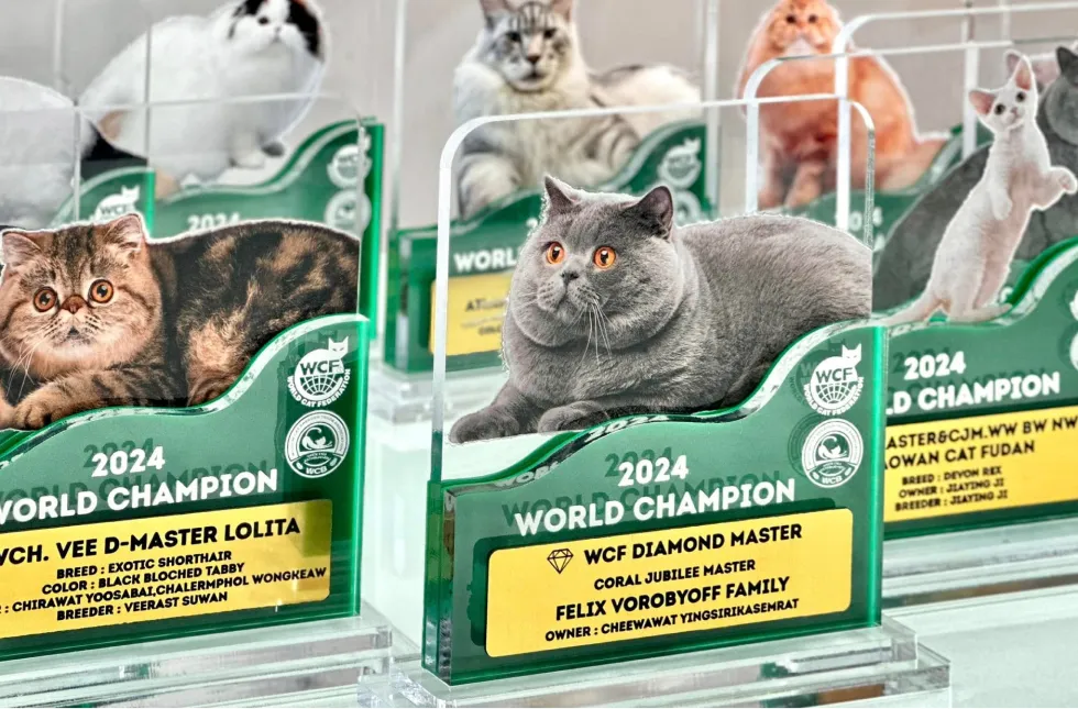 งานของพรีเมียมและของที่ระลึก