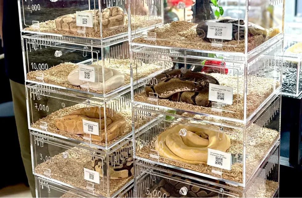 กล่องอะคริลิค / ตู้อะคริลิค